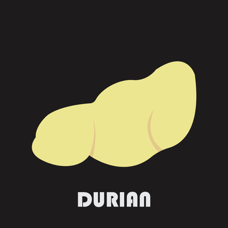 fresh Durian fruit icon,vector illustration flat designのイラスト素材