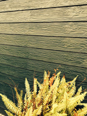 Wood texture vintage background patternの素材