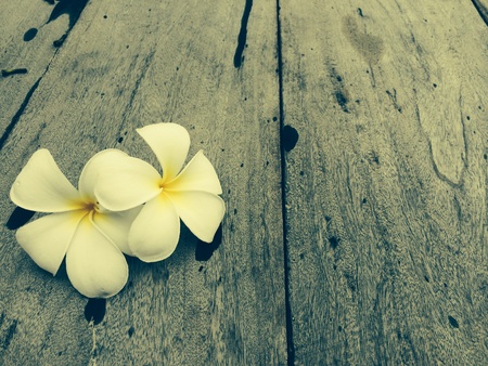 Flower on Wood texture vintage background patternの素材