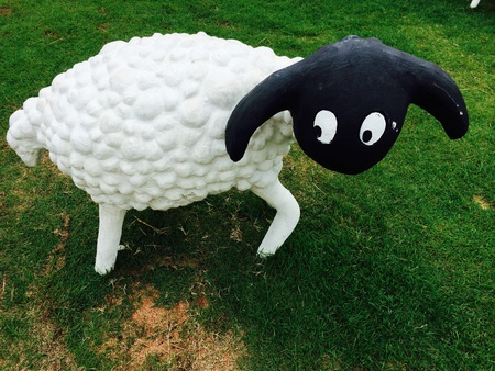 Sculpture sheep in the farm on green grassの素材