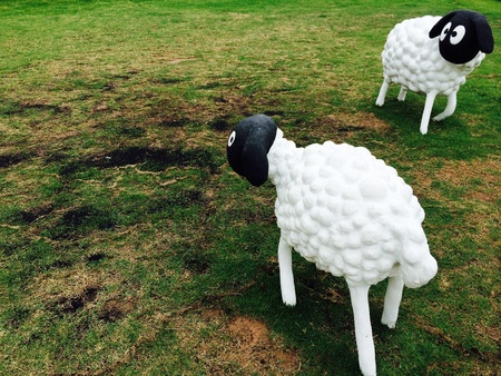 Sculpture sheep in the farm on green grassの素材