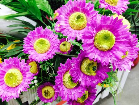 Variety of exotic and colorful flowersの素材
