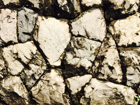 Texture background pattern stone