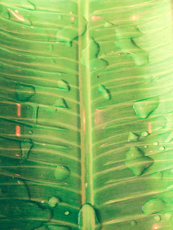 Texture background vintage patternの素材