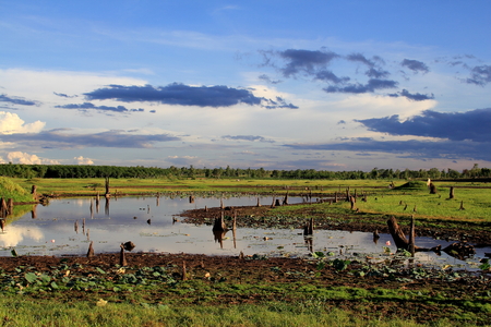 sun rays,Sunset over the lake backgroundの写真素材