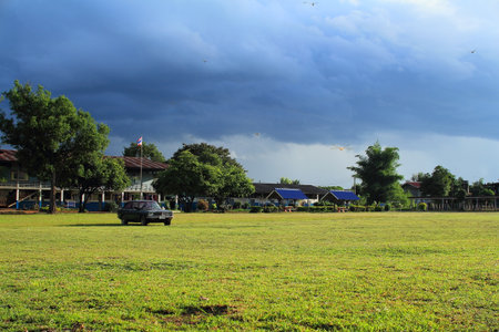 The green fields, bright and warm. backgroundのeditorial素材
