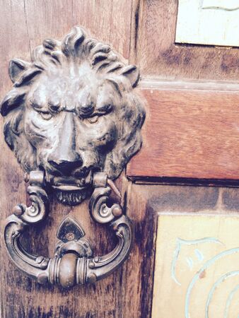 Lion head at wood doorの素材