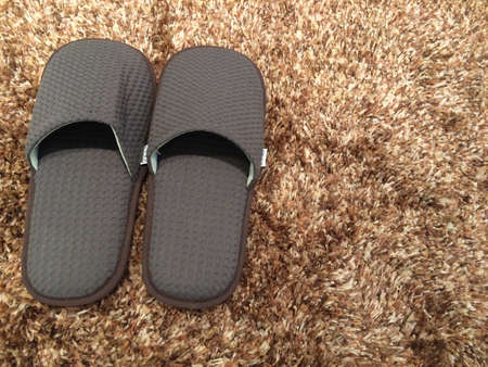 Shoe in bath roomの素材