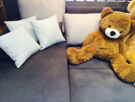 The bear doll  in Living roomの素材