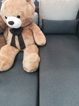 The bear doll  in Living roomの素材