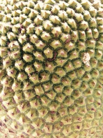 Vintage wood background texture patternの素材