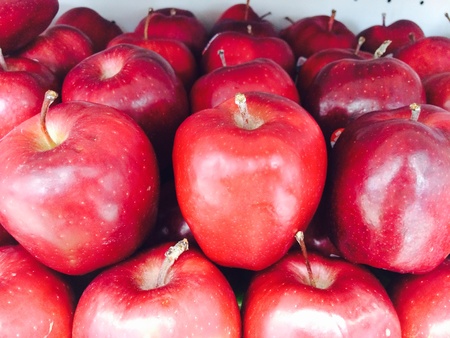 Red applesの素材