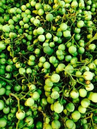 Vegetable in marketの素材