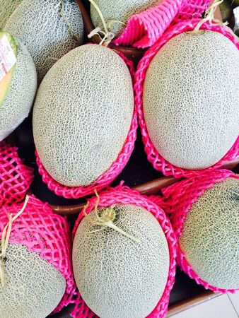Cantaloupes in marketの素材