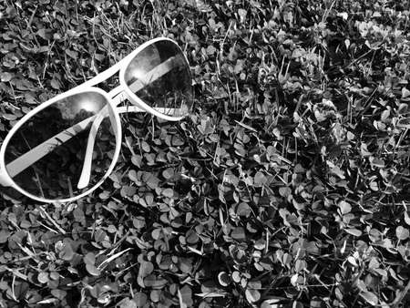 Glasses trip relax concept backgroundの素材