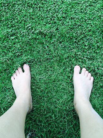 Freedom walk conceptの素材