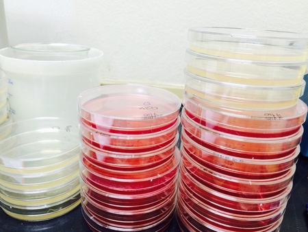 Science microbiology lab equipment
