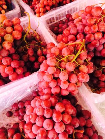 Grape fruitsの素材