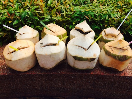 Coconut