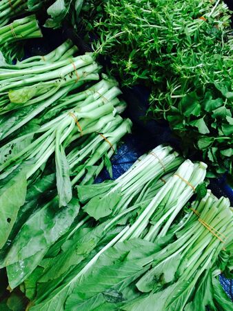 kale vegetables