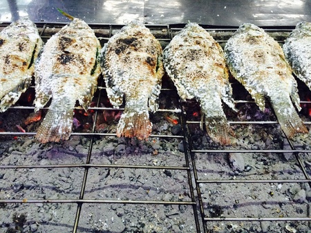 Grilled Fish