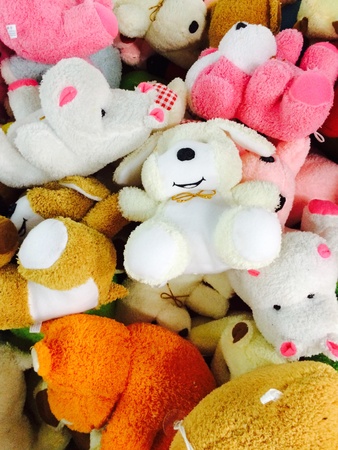 The doll toy and souvenir gift in shopの素材
