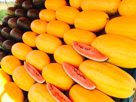 melon sold the farm frontの素材