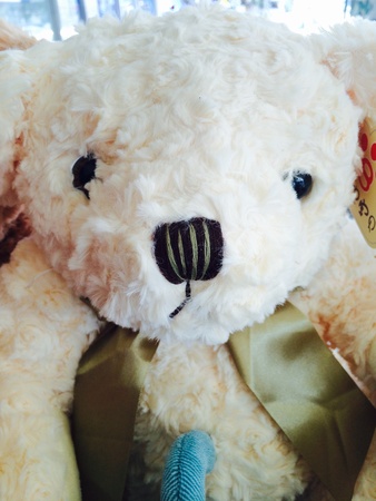 Teddy Bearの素材