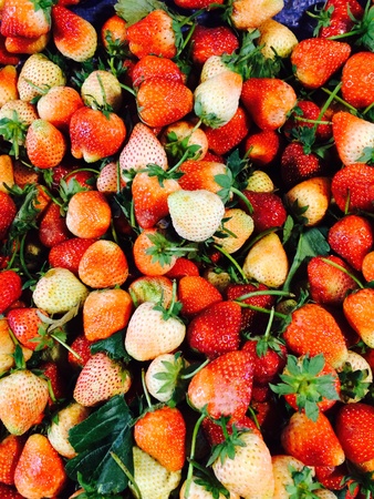 Strawberryの素材