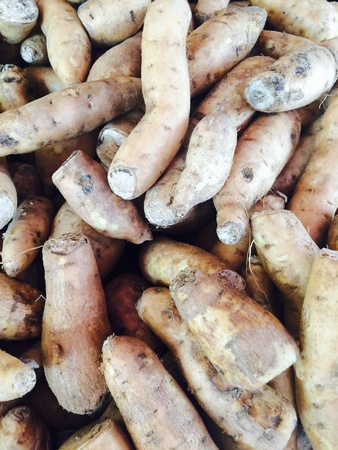 A sweet potatoes harvest and be placed on the market of fruits and vegetablesの素材