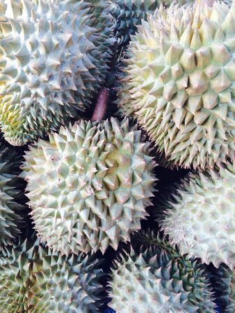 Durian fruitの素材