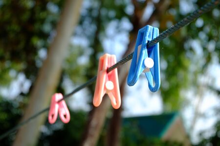 Clothes pegの写真素材