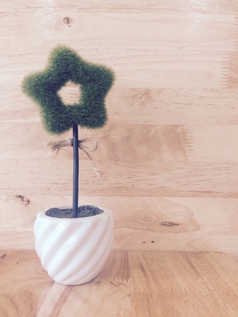 Star tree in potの素材