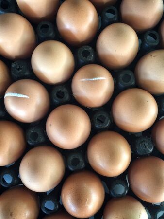 Egg in panel