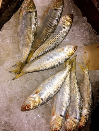fresh raw fish sell in the local market