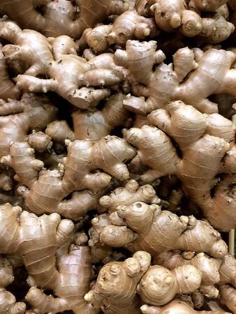 raw ginger backgroundの素材