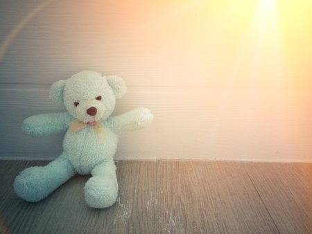 teddy bear sit on the home floor with sunlightの素材