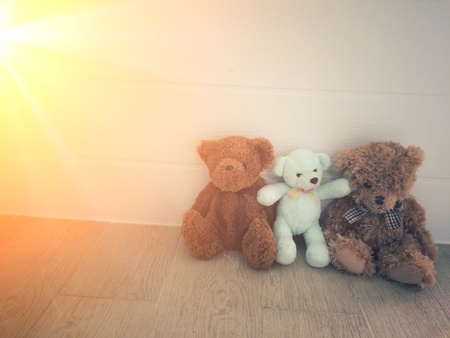 teddy bear sit on the home floor with sunlightの素材