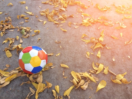 football on the floor with dry leave backgroundの素材