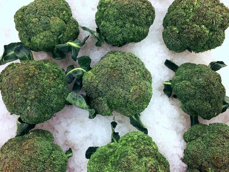 raw fresh broccoli