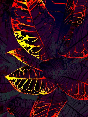 Leaf pattern in the retro background
