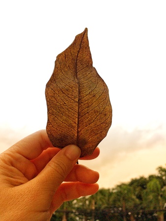 Travel natural freedom lifestyle conceptの素材