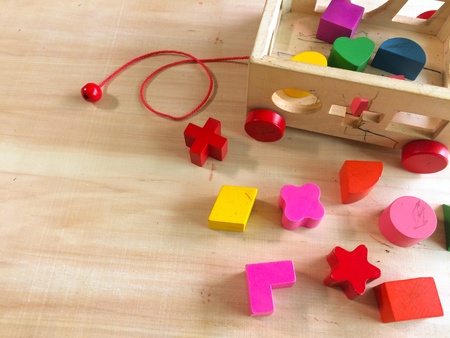 kid's sape toy for development skill make from woodの素材