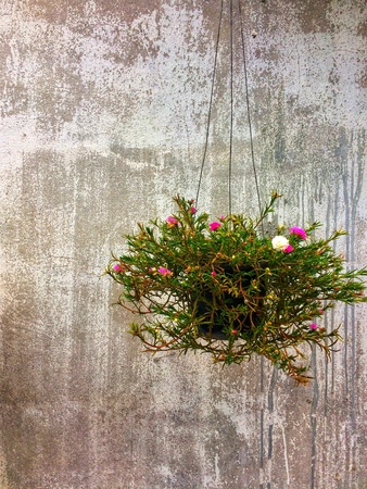 green nature pattern background conceptの素材