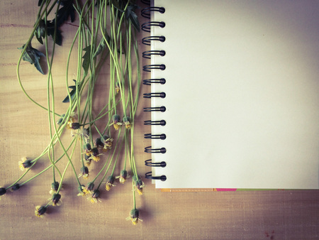 flower on wood background,  romance moment backgroundの写真素材