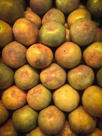 orange fruit are arranged in boxes sold in supermarketの素材