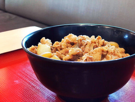 close up garlic Beef with Rice,  Japanese food conceptの素材
