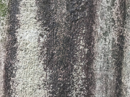 Old cement wall  texture background pattern