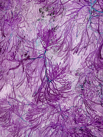 purple or violet texture pattern background, violet ultra concept