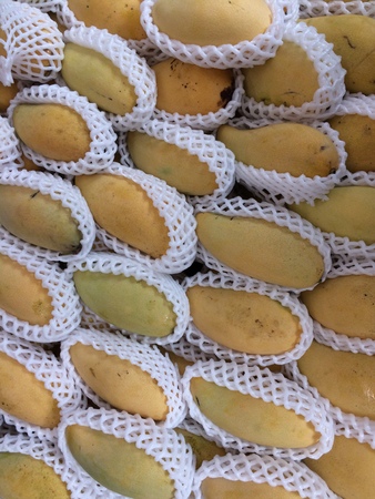 close up mango texture pattern background, sale in the marketの写真素材